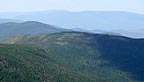 Zealand Notch