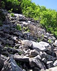 Climbing the rocks