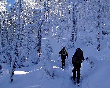 Approaching the Ridge