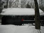 Harvard Cabin