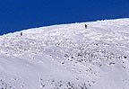 Descending into the trees