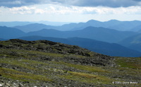 Looking West