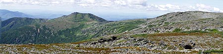 Southern Presidentials
